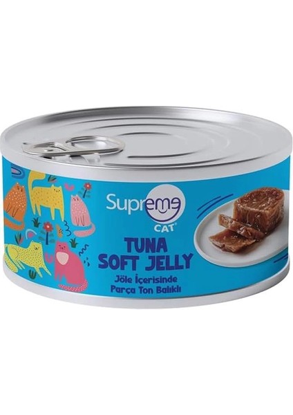 Parça Ton Balıklı/jöle Içerisinde 85GR 24'lü Islak Mama fiyatları