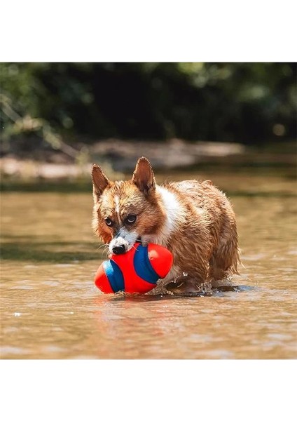 ! CH253101 Fumble Fetch Small indirimleri