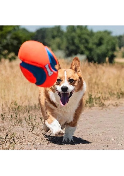 ! CH253101 Fumble Fetch Small