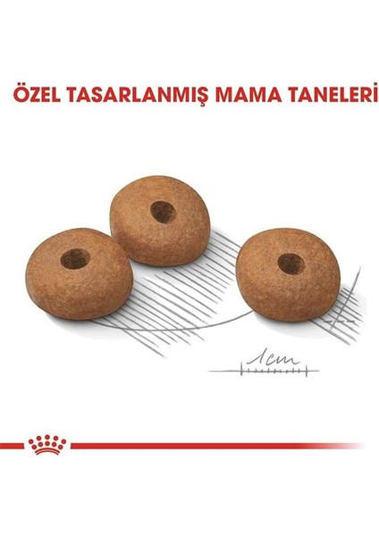 Ccn Mini Light Weight Care 3 kg Köpek Maması fırsatları