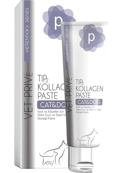 Prive Tip 2 Kollegen Paste/eklem Sivisi ve Eklem Kikirdak Desteği Pasta 100 gr