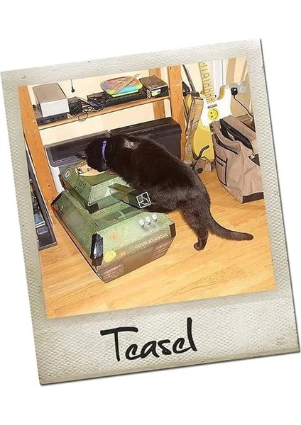 Kedi Oyun Evi | Yeni Karton Kedi Tankı | Kedi Oyuncağı ve Aksesuar | Düz Paketlenmiş ve