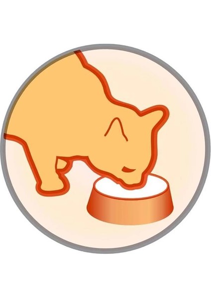 Elegant Yetişkin Kedi Maması 1,5 kg indirimleri