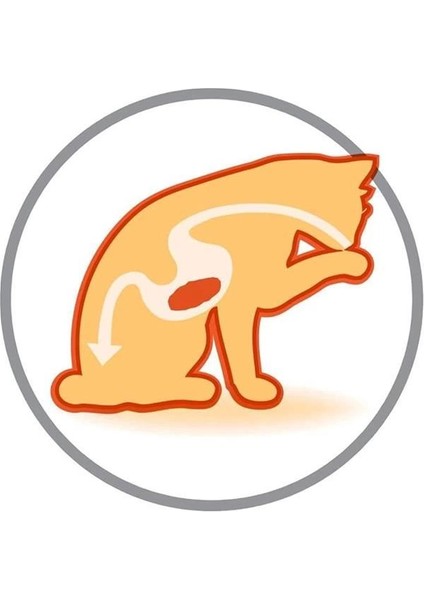 Elegant Yetişkin Kedi Maması 1,5 kg