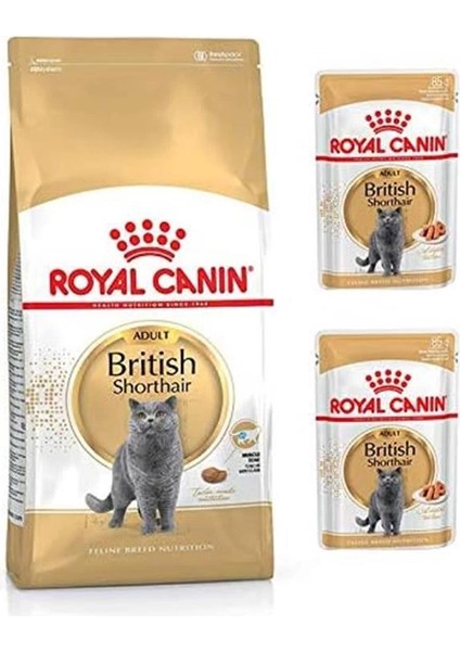 Adult Yetişkin British Shorthair Kedi Maması 2 kg + Yetişkin British