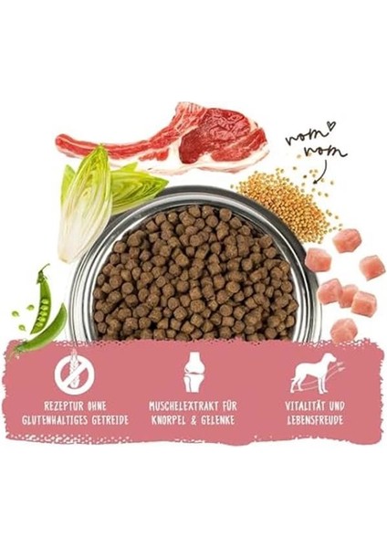 Mini Kuzu Etli ve Pirinçli Köpek Maması 3 kg modelleri