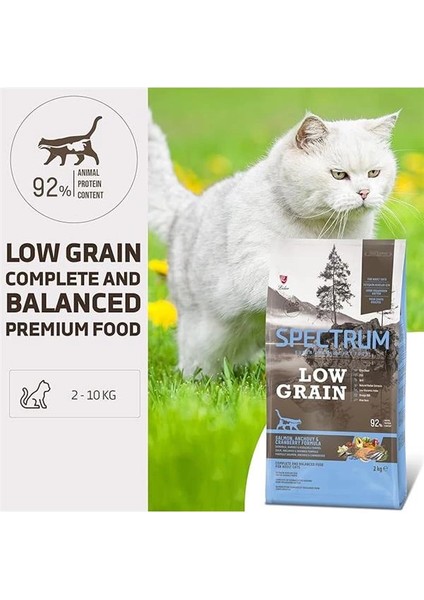 Düşük Tahıllı Somon, Hamsi ve Yaban Mersinli Yetişkin Kedi Maması 2kg fiyatları