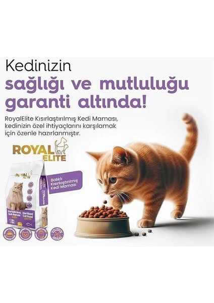 Kısırlaştırlmış Kedi Maması (2 Kg) modelleri