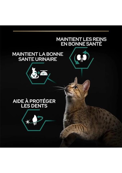 Purina Kısırlaştırılmış Yetişkin Kediler Için Somonlu Kedi Maması 3 kg