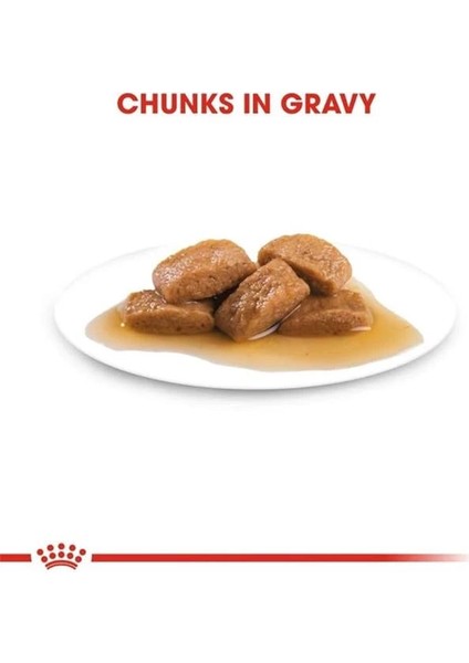 Maxi Adult Gravy Yetişkin Köpek Yaş Maması 140 gr x 10 Adet fırsatları