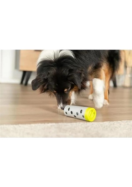 Köpek Zeka Eğitim Oyuncağı modelleri