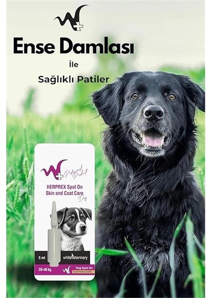 Hiteveterinay Köpek Damlası Bit ve Pire 20-40KG 1ml fırsatları