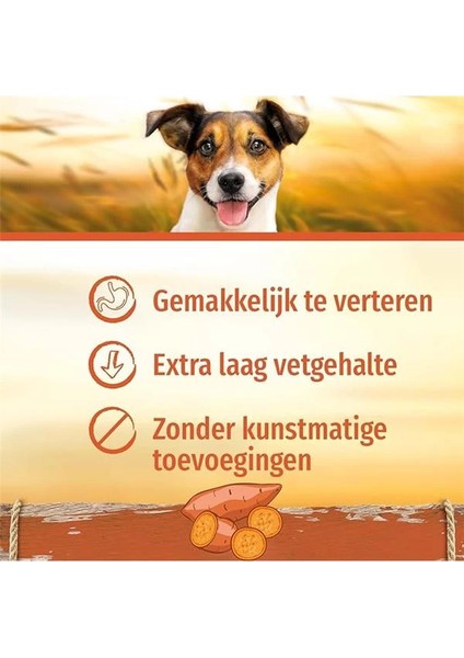Sweetpotato Medium Orta Boy Tatlı Patatesli Kemik 2'li, 158 gr Köpek Ödülü fiyatları