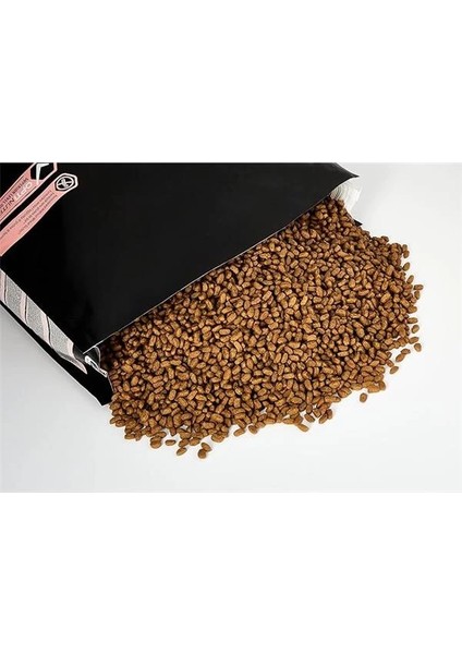 Medium Puppy Somonlu Köpek Maması 12 kg fiyatları