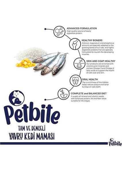 Yavru Kediler Için Balık Etli Kuru Kedi Maması (1 Kg, Balık) fırsatları