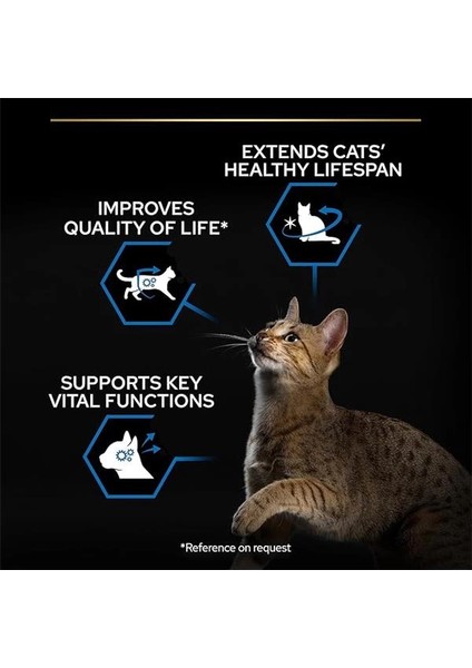 Original Senior Somonlu Kuru Kedi Maması 3 kg indirimleri