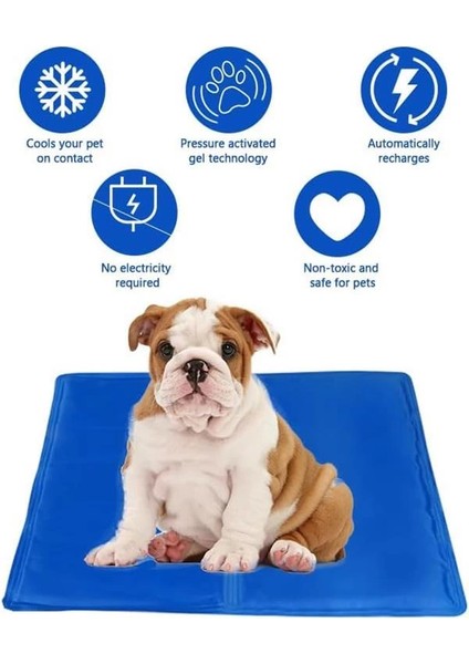 Kedi ve Köpek Matı Soğuk Serinletici Kedi Minderi Evcil Hayvan Yatağı Uyku Matı (50 x 65 Cm) fırsatları