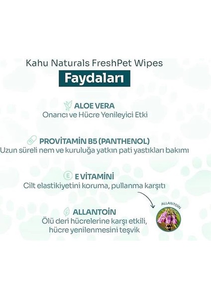 Pati ve Tüy, Vücut Temizleme ve Hijyen Mendili, Kedi ve Köpek, 1 Paket (25 Adet Mendil Içerir) indirimleri