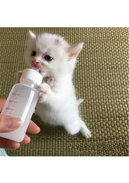 Yavru Kedi Köpek Biberonu 2 Emzikli 50 ml (1 Adet) fırsatları