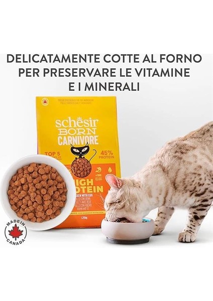 Born Carnivore Tavuk ve Yumurtalı Yetişkin Kedi Maması 1,25KG