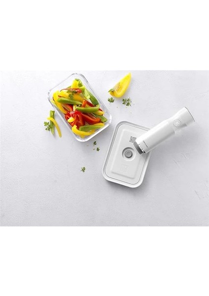 Zwilling Vakum Pompası modelleri