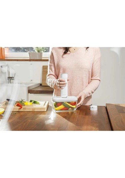 Zwilling Vakum Pompası fırsatları