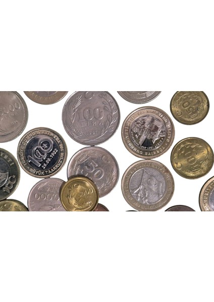 Karışık Para Lotu modelleri