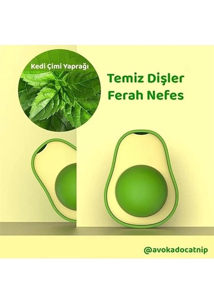 Avokado Şeklinde Catnipli Doğal Kedi Yalama Topu 6 cm indirimleri