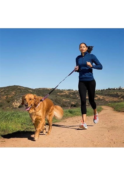 Halti Active Köpek Gezdirme Kayışı, Büyük Boy, Siyah modelleri