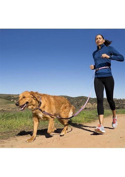 Halti Active Köpek Gezdirme Kayışı, Büyük Boy, Siyah fırsatları