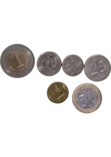 2005 Yılı Ytl Seti