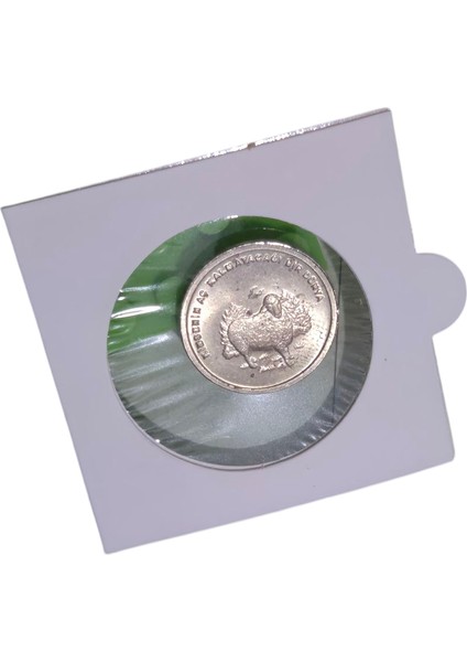 Fao 2002 Kimsenin Aç Kalmayacağı Bir Dünya Çil