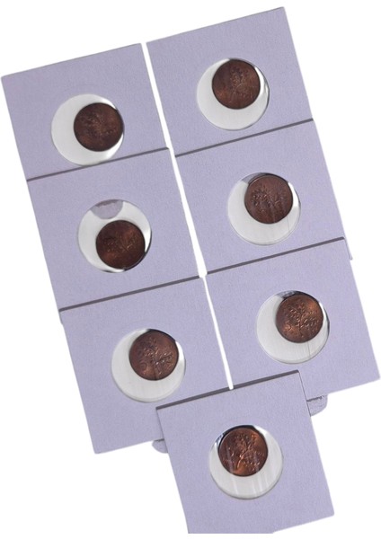 1974 Yılı 5 Kuruş Çil 7 Adet fiyatları