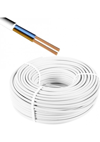 Toros Kablo Ttr 2 x 2.5mm² Cca Kablo H05 W-F 100MT (4887)