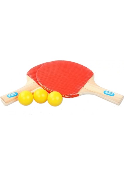 Masa Tenisi Seti (2 Raket + 3 Top) (4887) fiyatları