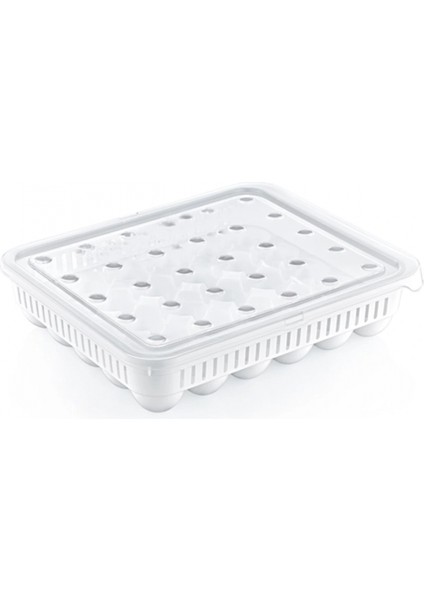 30&amp;apos;lu Yumurta Saklama Kabı (4887)