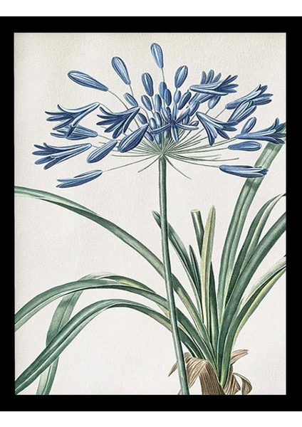 Dekorize Mdf Tablo Seti 12 Parça - Salon Oturma Odası Için Duvar Dekoru Çerçeve Görünümlü Onk Seri 13 x 17 Onk 1014 indirimleri