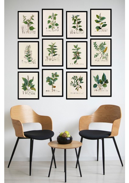 Dekorize Mdf Tablo Seti 12 Parça - Salon Oturma Odası Için Duvar Dekoru Çerçeve Görünümlü Onk Seri 1027 13 x 17