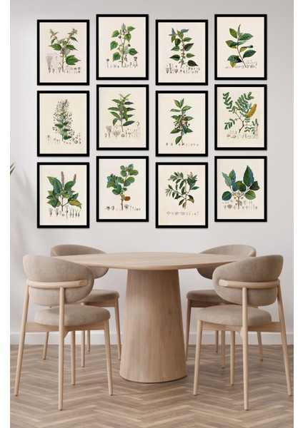 Dekorize Mdf Tablo Seti 12 Parça - Salon Oturma Odası Için Duvar Dekoru Çerçeve Görünümlü Onk Seri 1027 13 x 17 modelleri