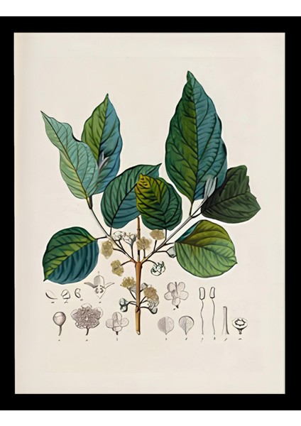 Dekorize Mdf Tablo Seti 12 Parça - Salon Oturma Odası Için Duvar Dekoru Çerçeve Görünümlü Onk Seri 1027 13 x 17 indirimleri