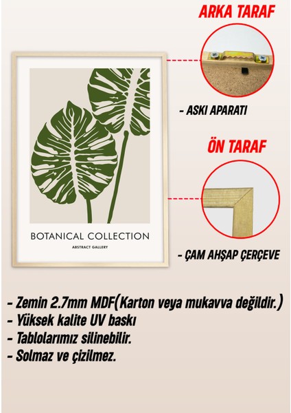 Ahşap Çerçeveli Mdf Tablo Seti Matisse, Bohem, Kusama Salon ve Oturma Odası Için ÇT3075 23 x 32