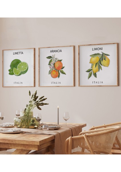 Italyan Meyve Temalı 3’lü Tablo Seti | Limetta – Arancia – Limoni | Uv Baskı Ahşap Çerçeve KR4044 23 x 23 fiyatları