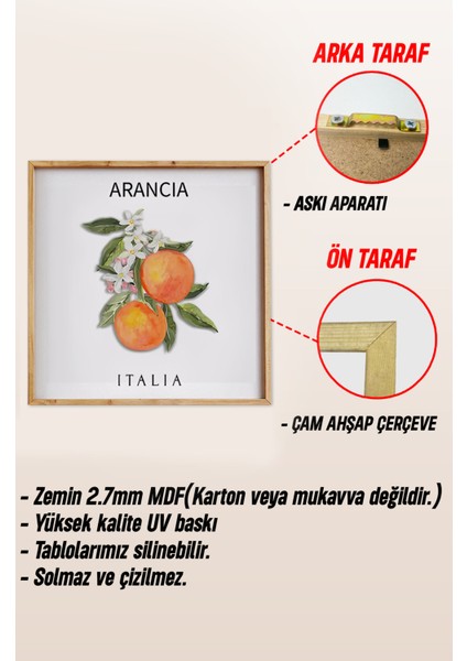 Italyan Meyve Temalı 3’lü Tablo Seti | Limetta – Arancia – Limoni | Uv Baskı Ahşap Çerçeve KR4044 23 x 23