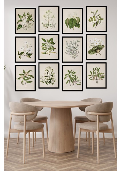 Dekorize Mdf Tablo Seti 12 Parça - Salon Oturma Odası Için Duvar Dekoru Çerçeve Görünümlü Onk Seri 1028 13 x 17 modelleri