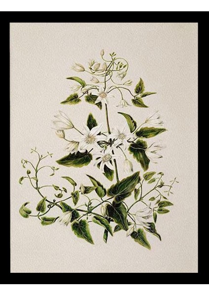 Dekorize Mdf Tablo Seti 12 Parça - Salon Oturma Odası Için Duvar Dekoru Çerçeve Görünümlü Onk Seri 1028 13 x 17 indirimleri