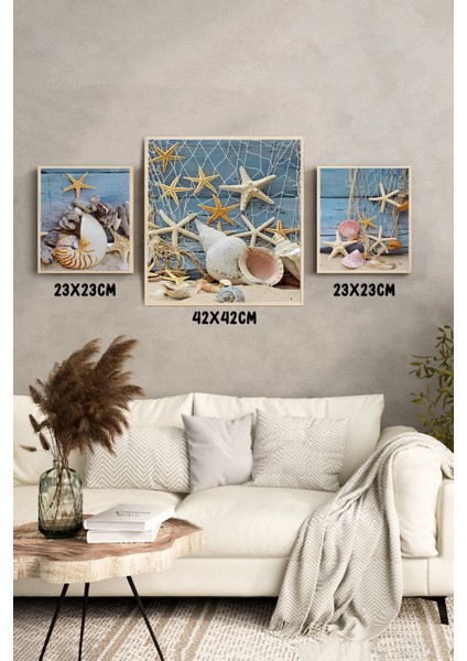 🐚 Deniz Kabukları & Yıldız Balığı Temalı 3’lü Mdf Ahşap Tablo Seti (23X23 cm & 42X42 Cm) 4242116 42 cm modelleri