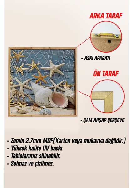 🐚 Deniz Kabukları & Yıldız Balığı Temalı 3’lü Mdf Ahşap Tablo Seti (23X23 cm & 42X42 Cm) 4242116 42 cm indirimleri
