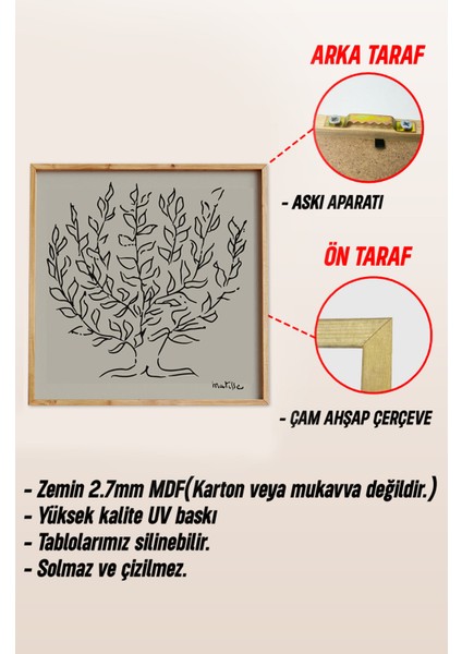 Ahşap Çerçeveli Mdf Kare Tek Tablo Matisse Serisi (Kendi Tablo Setinizi Oluşturacağınız Liste) 23 x 23 TX1000