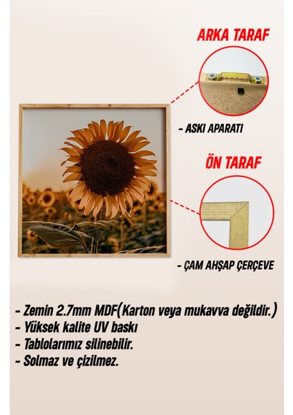 Ahşap Çerçeveli Mdf Kare Tablo Seti Salon ve Oturma Odası Için KR4011 23 x 23