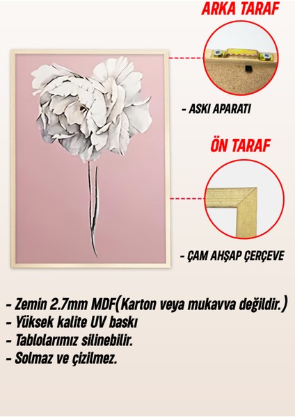 🌸 Pembe, Beyaz ve Gri Zemin Üzerinde Zarif Çiçek Desenli 3’lü Çerçeveli Tablo Seti🌿 CRV1120 23 x 32